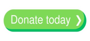 Donate button