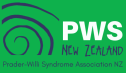MSA logo 002