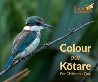 childrens day fb announcement